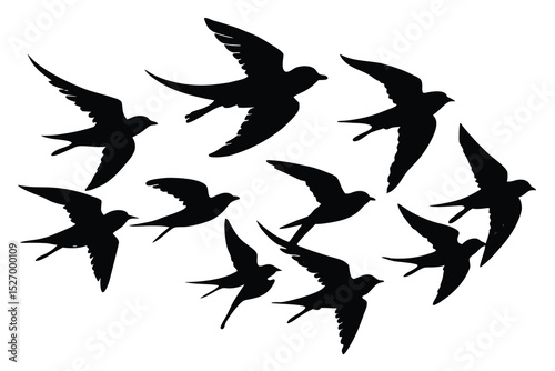 Silhouette of a Flock of Swallows Flying Against a White Background in a Group