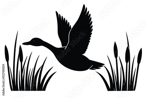 Silhouette of a Duck Flying Above Cattails, Black and White Illustration
