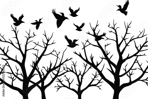 Silhouette of Bare Trees Against White Sky with Flying Birds Nature Illustration