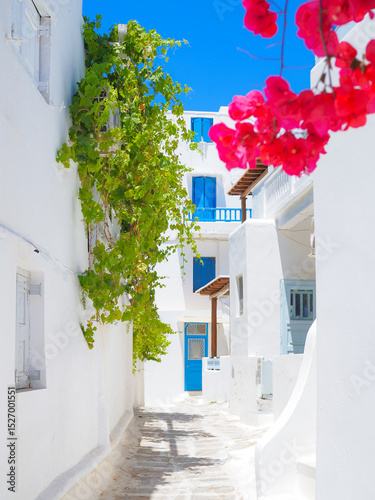 Fototapeta Naklejka Na Ścianę i Meble -  Mykonos summer vibes 