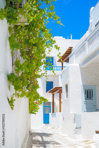 Fototapeta Naklejka Na Ścianę i Meble -  Mykonos summer vibes 
