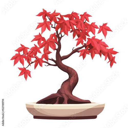 2D flat A Paperbark Maple Bonsai illustration vector, isolated on a white background.