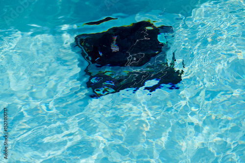 Robotic pool cleaner operates in clear blue water during sunny afternoon by the backyard pool
