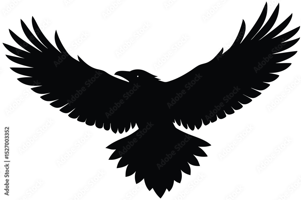 Obraz premium Soaring Raven Silhouette Bold Black Bird with Outstretched Wings Isolated on White