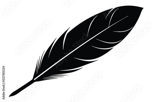 Single Detailed Black Feather Isolated on White Background, Bird Quill Illustration