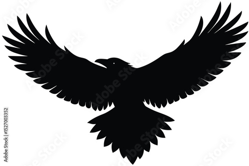Soaring Raven Silhouette Bold Black Bird with Outstretched Wings Isolated on White