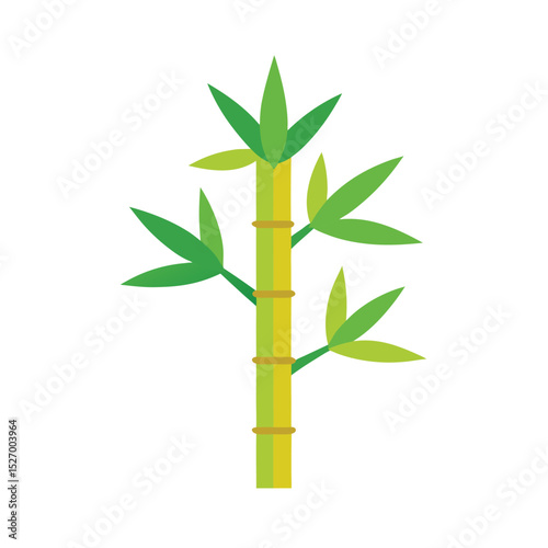bamboo isolated on white background