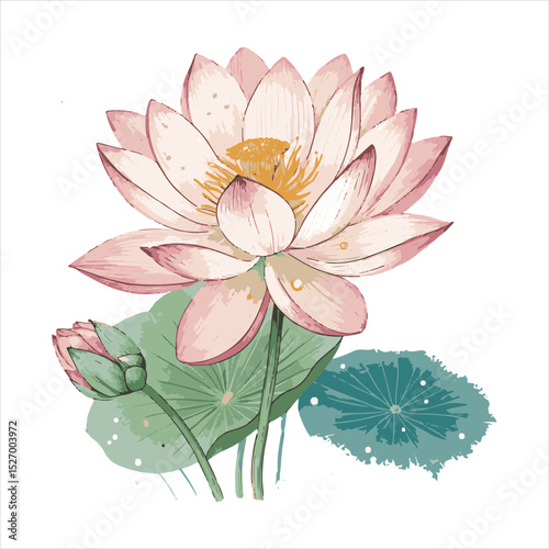 Lotus flower vector.