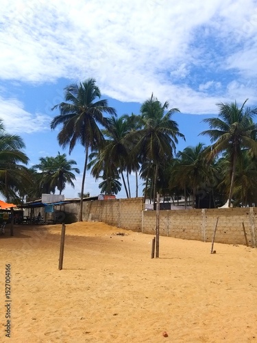 Fototapeta Naklejka Na Ścianę i Meble -  palm tree on the beach