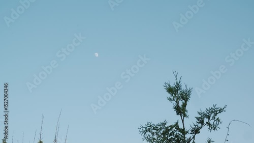 Moon in the Sky