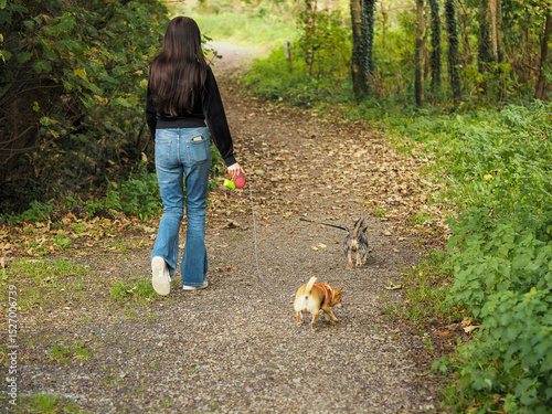 Young teenager girl walking small dogs on a footpath in a forest park. Making money on pet service and care concept. Hobby and responsibility. Model in dark top and blue jeans. Selective focus
