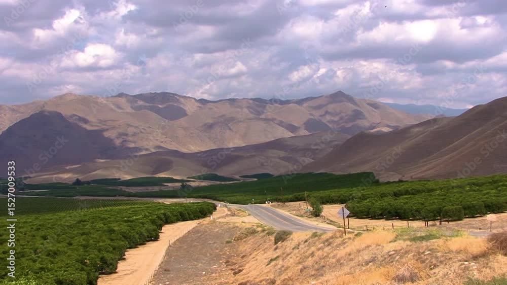 Kern River Orange Groves 2 MS