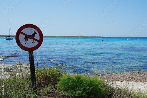 No dogs allowed on beach