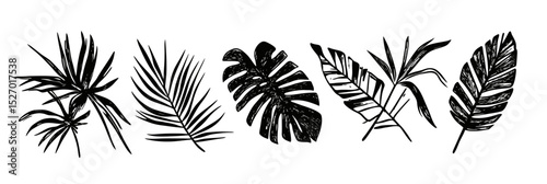 Set of six hand drawn black tropical palm and monstera leaves silhouettes with detailed grunge texture isolated on white background vector illustration