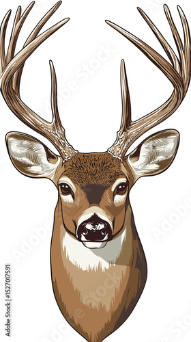 Detailed realistic deer head with large antlers front view wild animal portrait isolated on white background natural wildlife design vector illustration