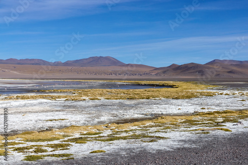 Wallpaper Mural Exploring the unique landscapes of Avaroa National Park in Bolivia with stunning salt flats and vibrant wildlife Torontodigital.ca