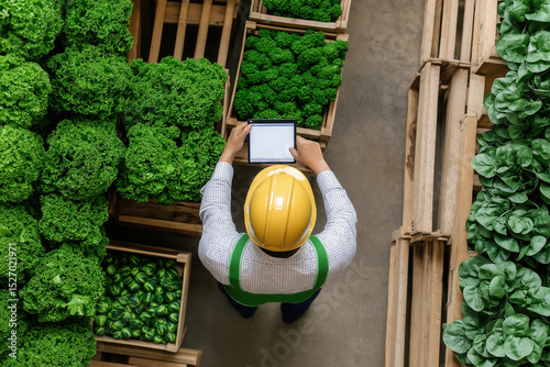 Farmer using digital platform to manage inventory while surrounded by neatly stacked crates of fresh produce. Modern warehouse setting highlights agriculture technology