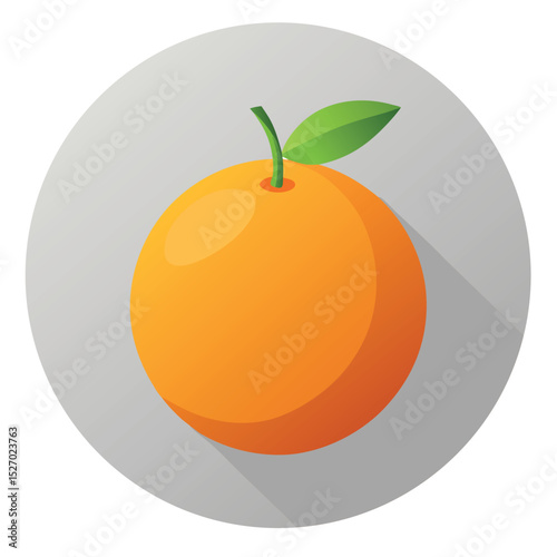 Orange fruits vector icon on white background
