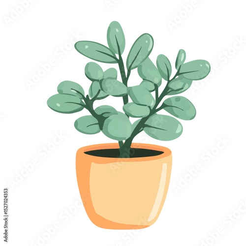 2D flat A Jade Plant illustration vector, isolated on a white background.