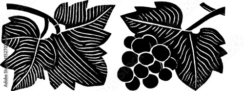 Folk art woodcut print of grapevine leaves and clusters with texture for decorative design