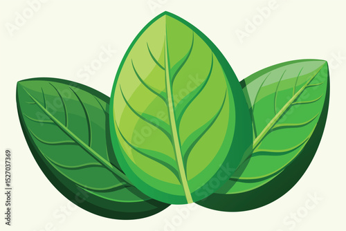 Half avocado on leaves vector illustration, green fruit with pit, healthy vegetarian food, nature fresh ingredient clip art for design