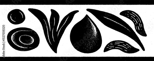 Neo folk art organic shapes collection for creative design projects