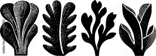 Neo folk art botanical illustration inspired by woodcut print design