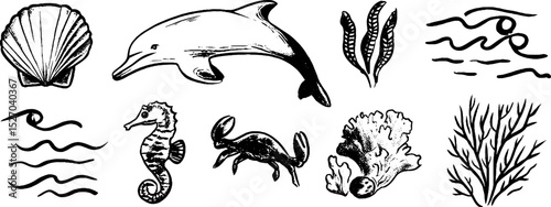 Quirky ocean life sketches featuring clam shell, dolphin, seahorse, and seaweed elements for creative designs