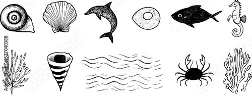 Ocean-inspired quirky sketch set featuring clam shell, dolphin, and seahorse designs for creative projects