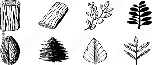 Quirky botanical sketch set featuring redwood trunk and leaf illustrations