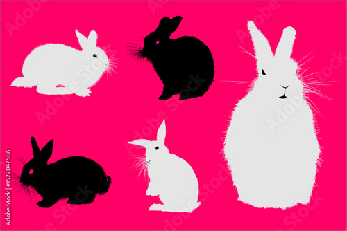 conejito, animal, pascua, dibujos animados, vector, liebre, ilustración, cuca, primavera, mamífero,