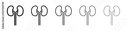 Kidneys icon