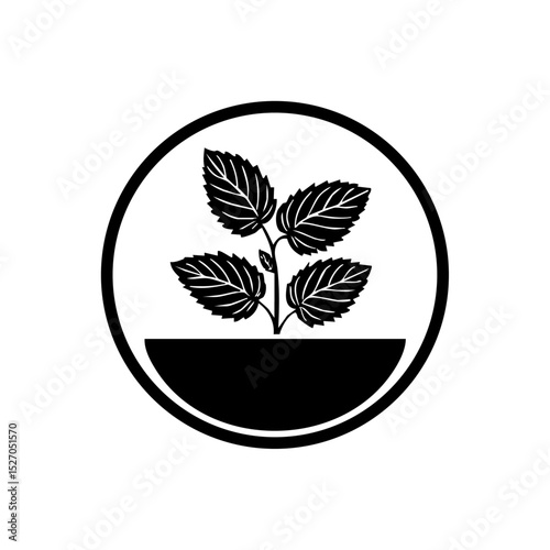 Vector logo of a mint plant growing inside a bowl within a circular frame.

