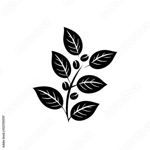 Vector illustration of a coffee plant branch with detailed leaves and coffee beans.

