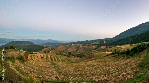 Sunrise Timelapse Over Rice Fields in Ban Pa Pong Piang