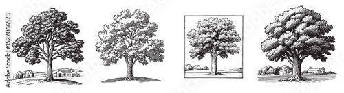 Hand-Drawn Illustrations of Different Tree Styles with Landscape Elements, logo design, engraving design, vector illustration