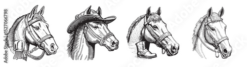Detailed Illustrations of Horse Heads in Various Styles and Attires, logo design, engraving design, vector illustration