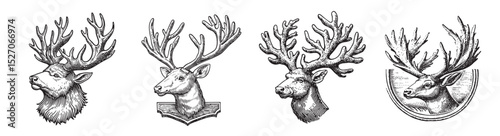 Vintage Illustrations of Deer Heads with Antlers in Different Styles, vintage retro hipster logo design, vector illustration, engraving design