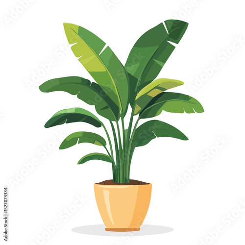 Indoor Plant vector 2D flat illustration, isolated on a white background.