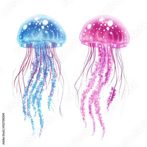 Glowing Jellyfish Tropical Water illustration vector 2D flat, isolated on a white background.