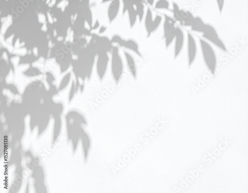 Wallpaper Mural Delicate Leaf Shadows on a White Wall Torontodigital.ca