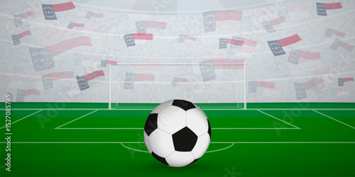 North Carolinian Football Arena Full of Fans with National Flags, Sports Event Illustration.