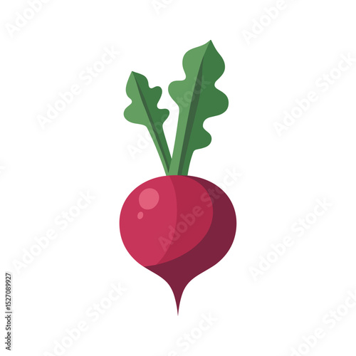 Red radish with green leaves in flat design style  
