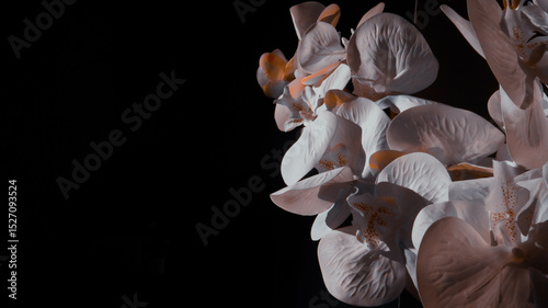 Foto Muted elegant orchid blossoms on a dark background capture a serene, moody atmosphere