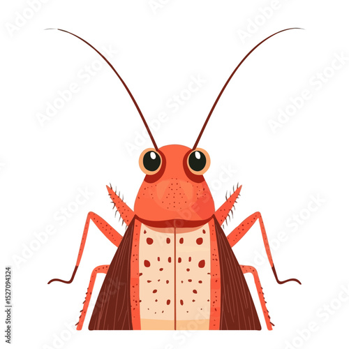 2D flat Cockroach Close Up vector illustration, isolated on a white background.