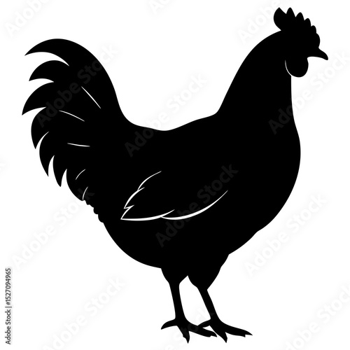 Silhouetted rooster farm animal black white