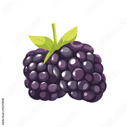 Blackberry Slice 2D flat vector illustration, isolated on a white background.