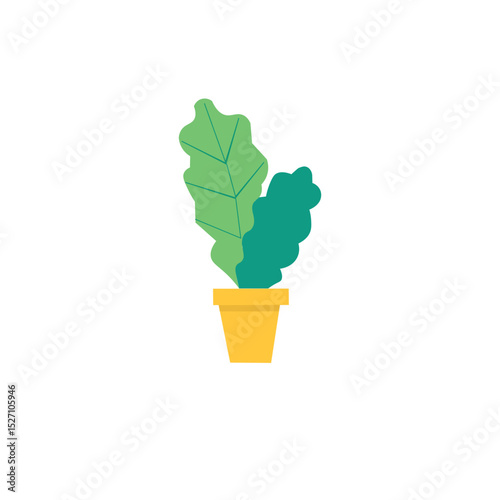 green plant in a pot