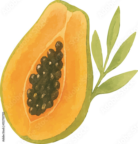 Watercolor Papaya Illustration – Hand Painted Tropical Fruit Clipart on White Background | Generative AI