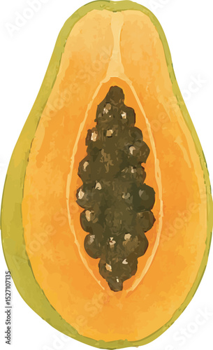 Watercolor Papaya Illustration – Hand Painted Tropical Fruit Clipart on White Background | Generative AI